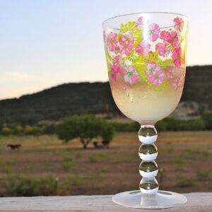 NWT Lily Pulitzer Acrylic Wine Glasses (2)